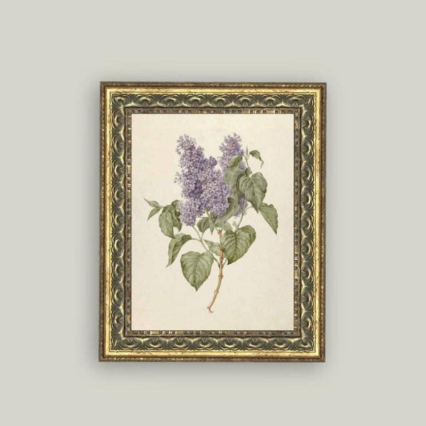 Lilac Branch Framed Antique Art: 8x10